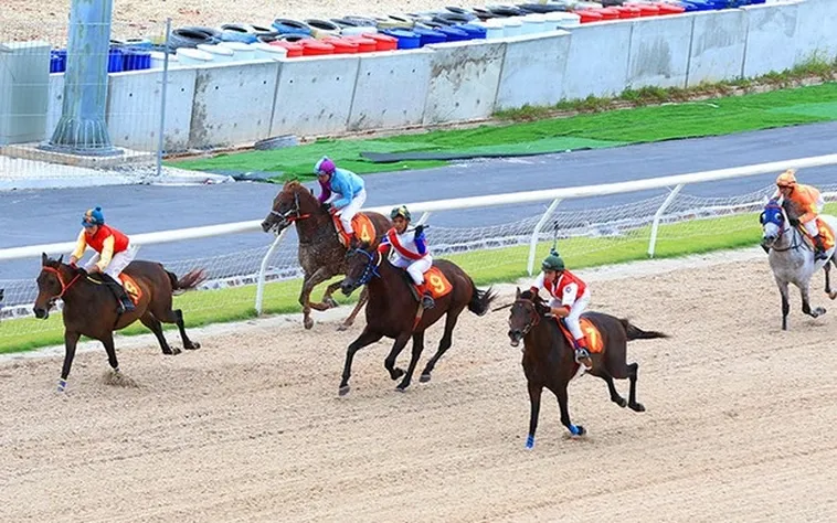 Tìm Hiểu Đua Ngựa Topbet379: Đánh Giá Và Trải Nghiệm 2 Tìm Hiểu Đua Ngựa Topbet379: Đánh Giá Và Trải Nghiệm