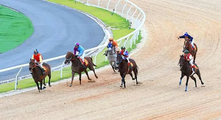 Khám Phá Thế Giới Đua Ngựa Bet88: Đam Mê Và Cơ Hội Thắng Lớn 2 Khám Phá Thế Giới Đua Ngựa Bet88: Đam Mê Và Cơ Hội Thắng Lớn